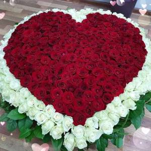 Букет 501 роза в форме сердца в корзине R928