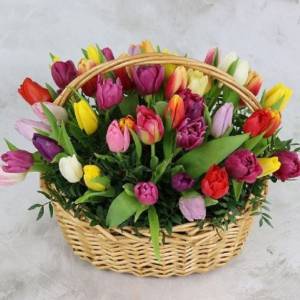 Корзина 45 разноцветных тюльпанов R991